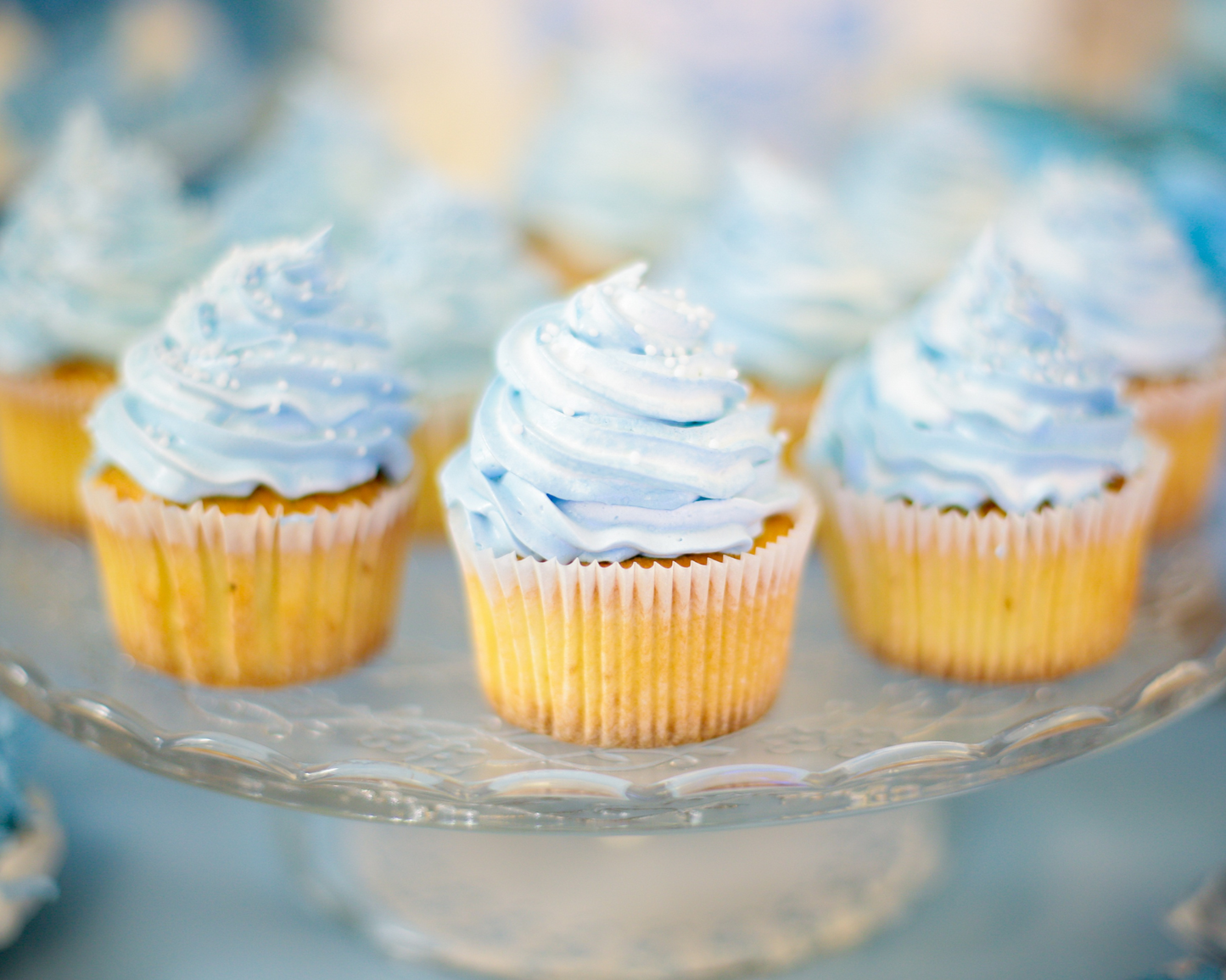 Cupcakes - Plain - Twelve Count
